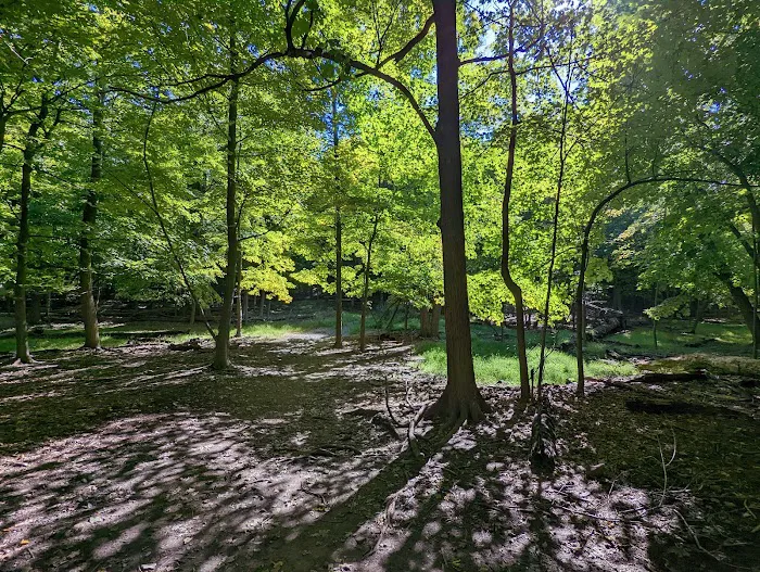Nyack Beach State Park Picture 2