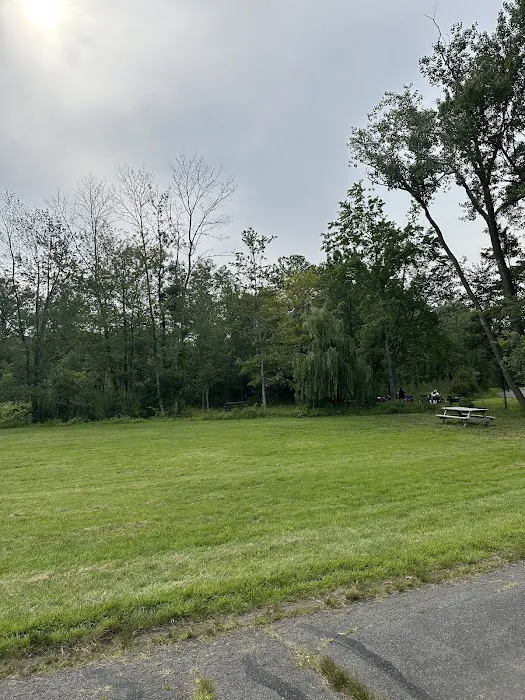 Park Field 3 Picture 4