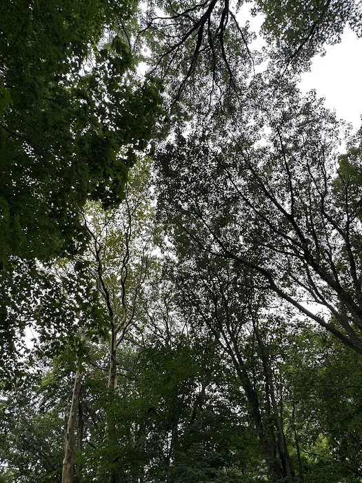 Park Field 3 Picture 6