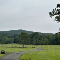 Park Field 3 ico