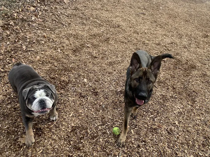 Clarkstown’s K-9 Corrals Picture 1