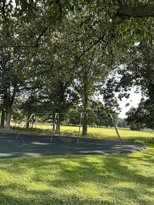 Kings Park Picture 3
