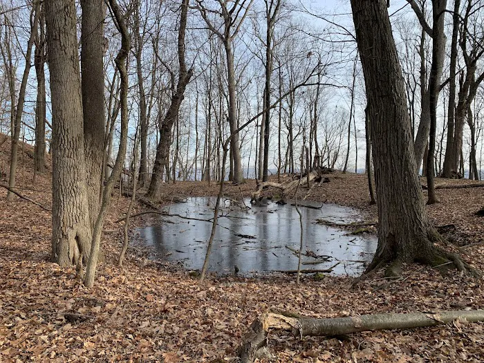 Rockland Lake Trail Picture 7