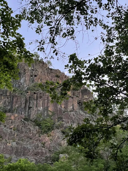 Rockland Lake Trail Picture 6