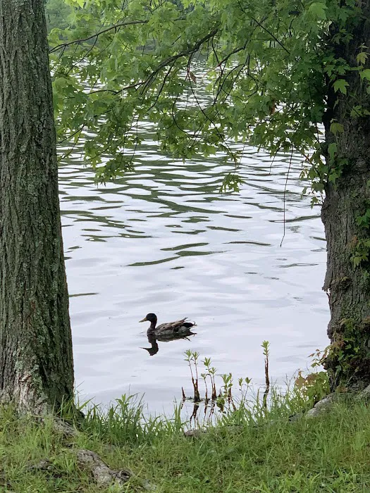 Rockland Lake Picture 10
