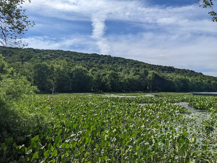 Rockland Lake Picture 8