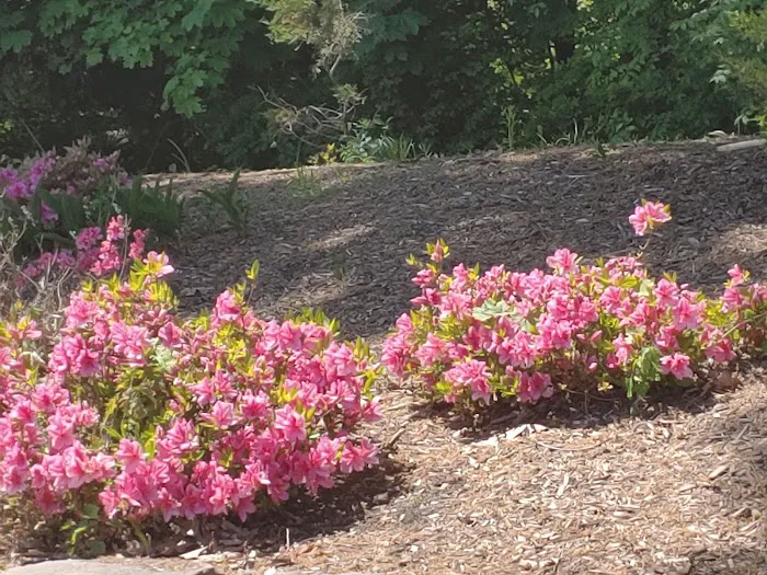 Dutch Gardens Picture 5