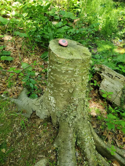 Demarest Kill County Park Picture 8
