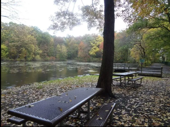 Demarest Kill County Park Picture 3