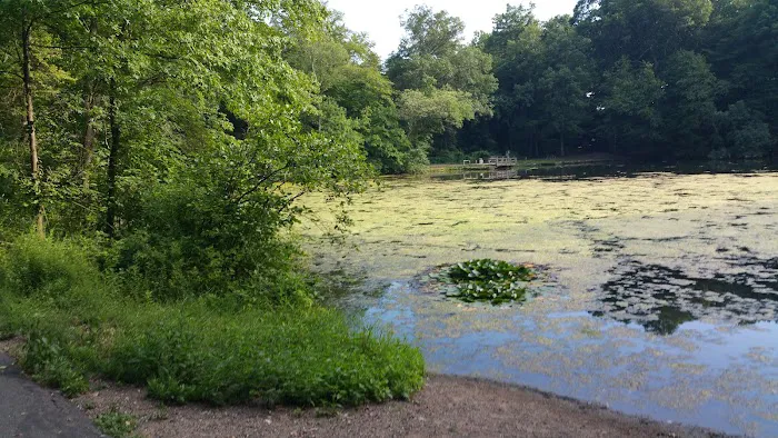 Demarest Kill County Park Picture 7