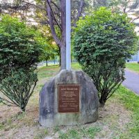 Viola Town Park ico