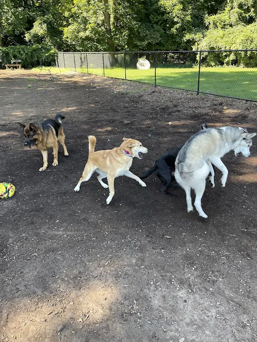 Dog Park Picture 2