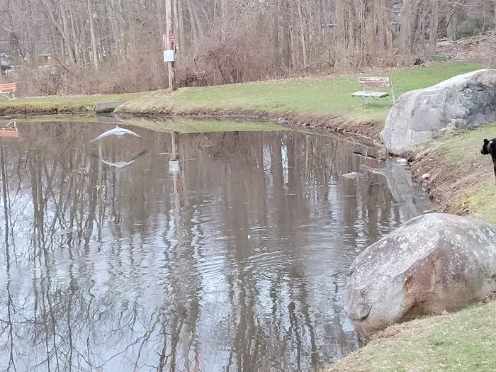 Airmount Park Picture 8