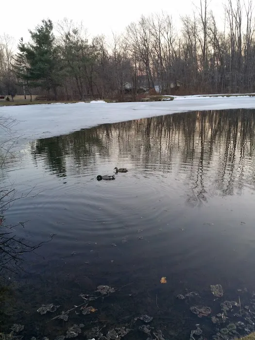 Airmount Park Picture 7
