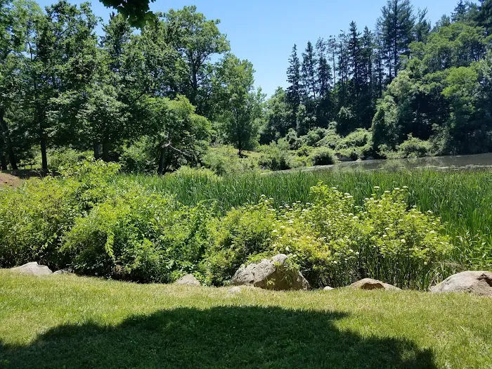 Kathryn Gorman Ponds Park Picture 9