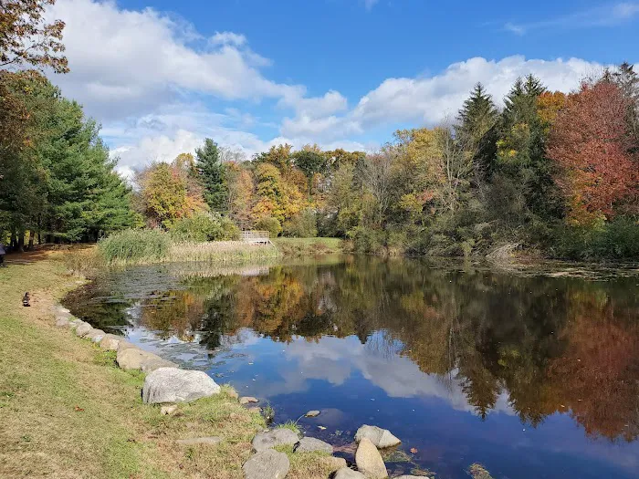 Kathryn Gorman Ponds Park Picture 6