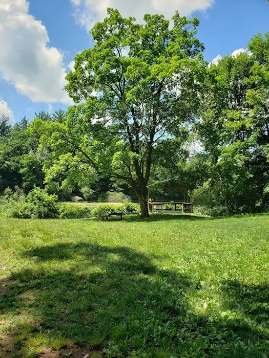 Kathryn Gorman Ponds Park Picture 2