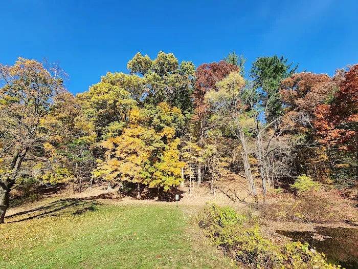 Kathryn Gorman Ponds Park Picture 4