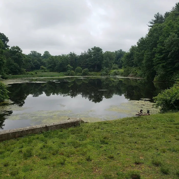 Kathryn Gorman Ponds Park Picture 5