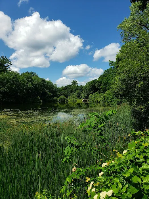 Kathryn Gorman Ponds Park Picture 1
