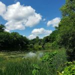 Kathryn Gorman Ponds Park