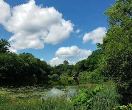 Kathryn Gorman Ponds Park