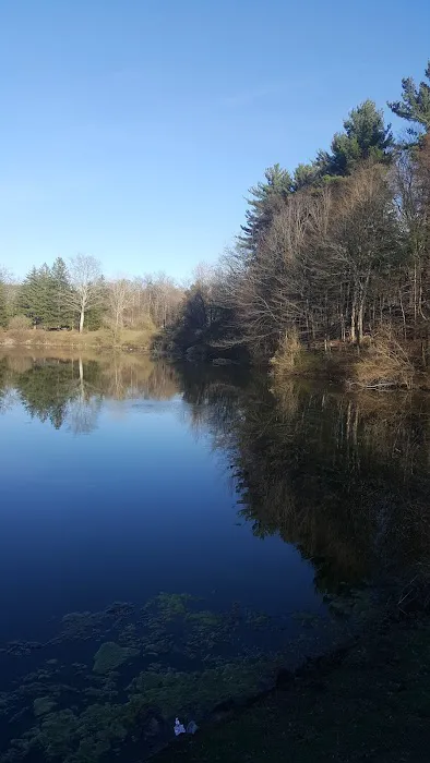 Secret Park Picture 5