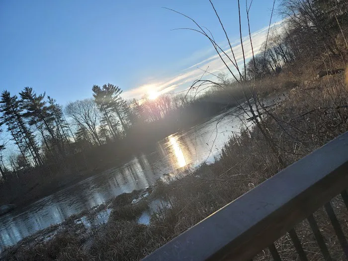 Secret Park Picture 10