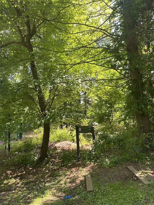 Secret Park Picture 6