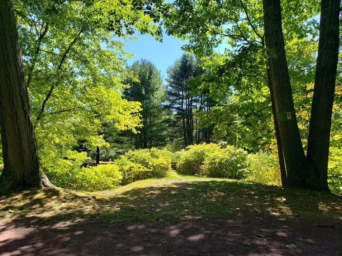 Secret Park Picture 8