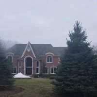 Allendale Wetlands ico