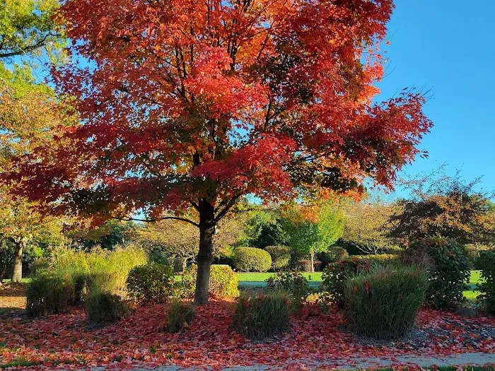 Orchard Common Picture 1