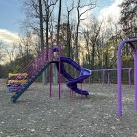 Borough Park ico