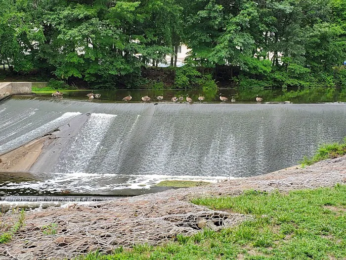 Borough Park Picture 7