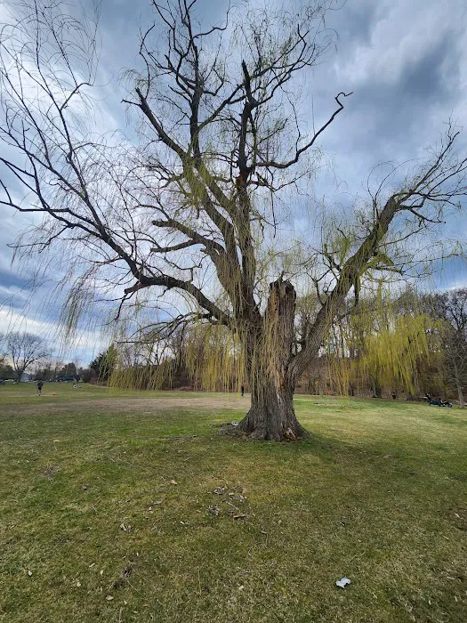 Croton Point Park Picture 4