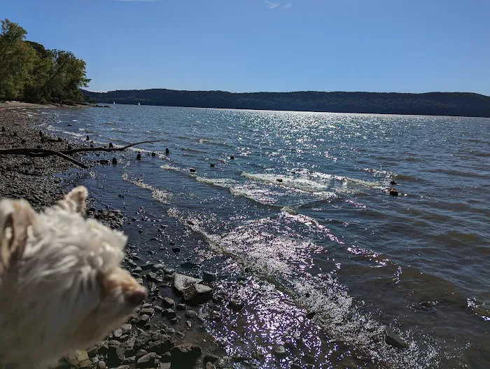 Croton Point Nature Center Picture 4