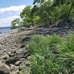 Hudson River Greenway Trail