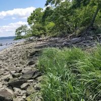 Hudson River Greenway Trail ico