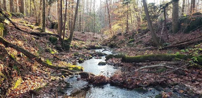 Hemlock Brook Preserve Picture 4