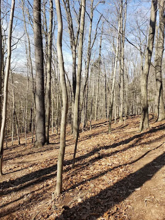 Hemlock Brook Preserve Picture 3