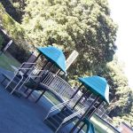 Dobbs Park