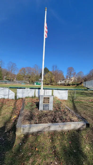 Dobbs Park Picture 5