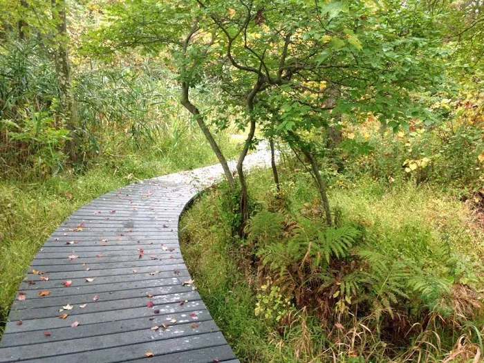 Jane E. Lytle Memorial Croton Arboretum Picture 9