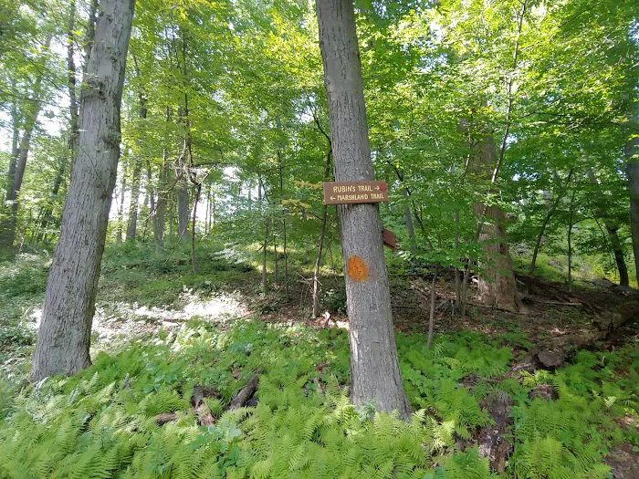Jane E. Lytle Memorial Croton Arboretum Picture 4