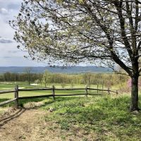 Jane E. Lytle Memorial Croton Arboretum ico