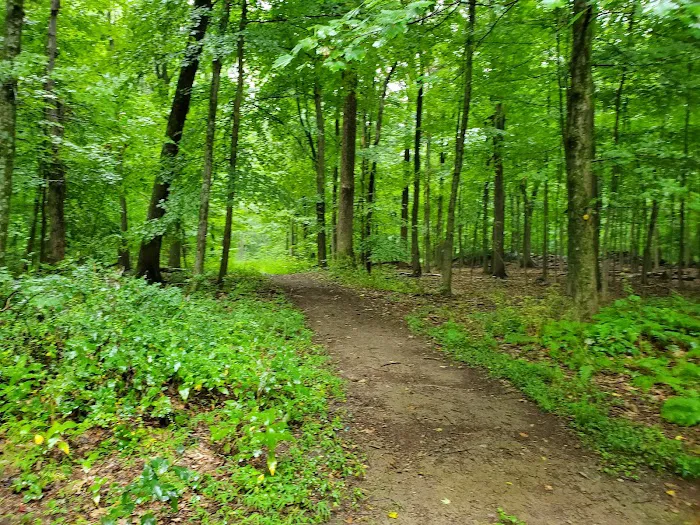 French Hill State Park Picture 1