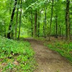 French Hill State Park