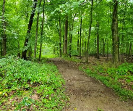 French Hill State Park