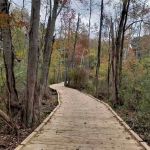 Mohansic Trailway
