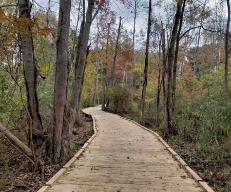 Mohansic Trailway